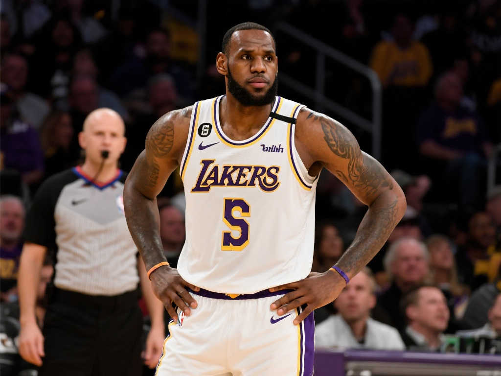 这一项目的 这一项目的